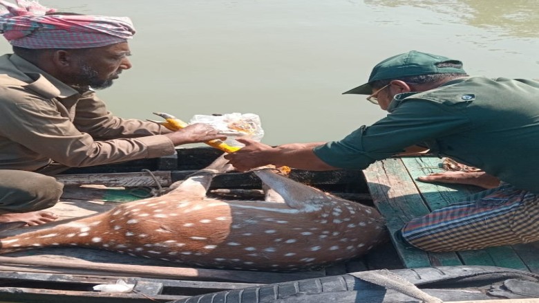 নতুন গানে তরুণ শিল্পীর চমক
